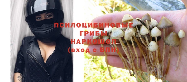 шишки Балахна