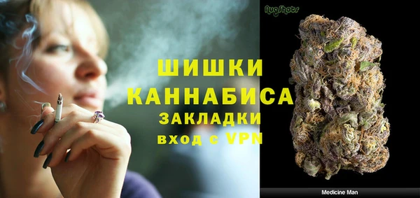 ГАЛЛЮЦИНОГЕННЫЕ ГРИБЫ Белокуриха