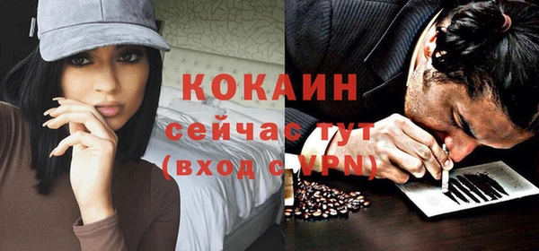 шишки Балахна