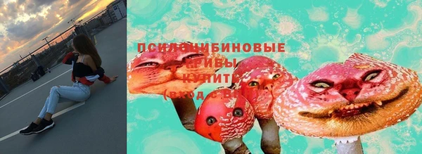 шишки Балахна