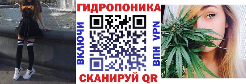 сколько стоит  кракен ссылки  Марихуана конопля  Новое Девяткино 